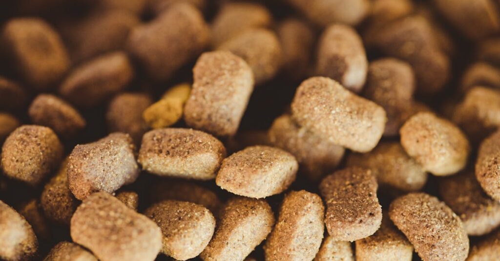 Guia Completo de Dieta Balanceada para Pets Guia Completo de Dieta Balanceada para Pets