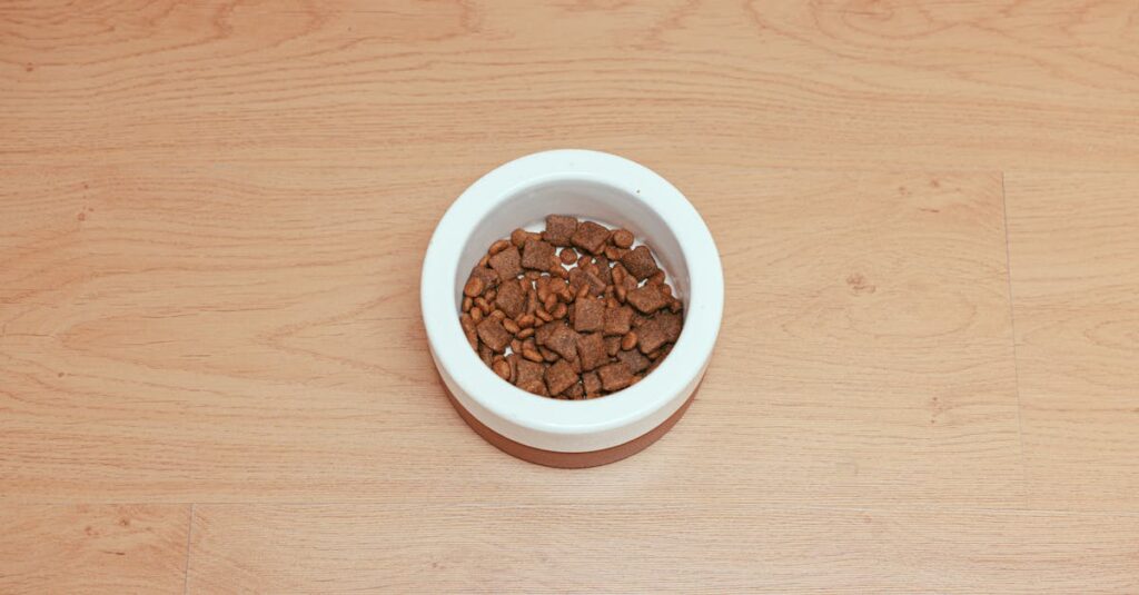 Entenda os Benefícios da Alimentação Pet Sem Grãos